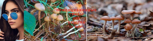 мяу мяу кристалл Алзамай