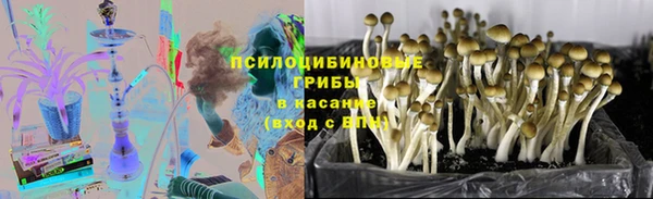 твердый Алексеевка