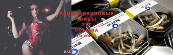 хмурый Алексин