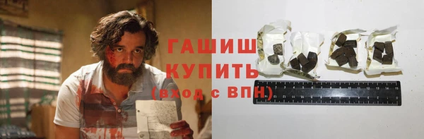 хмурый Алексин