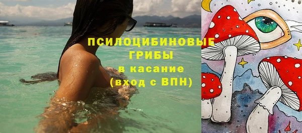 твердый Алексеевка