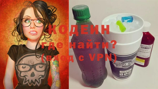 хмурый Алексин