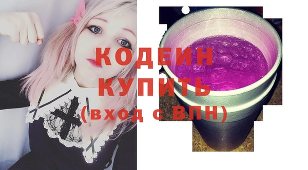 хмурый Алексин
